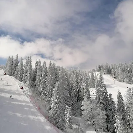 Dylan Chalet *